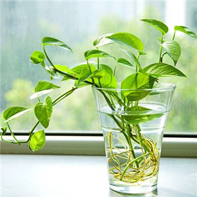 开开棋牌app下载